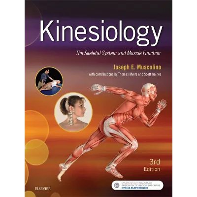 Kinesiology  - The Skeletal System and Muscle Function 3rd Edition