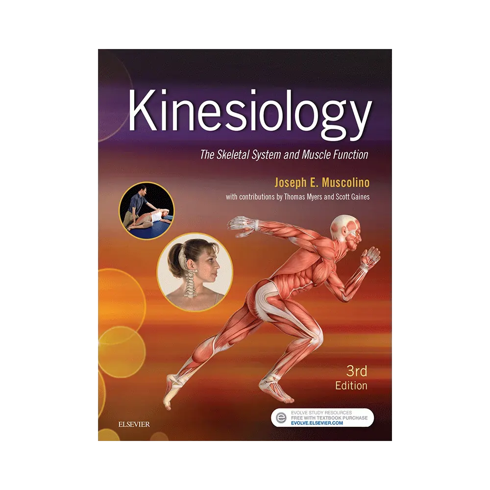 Kinesiology  - The Skeletal System and Muscle Function 3rd Edition