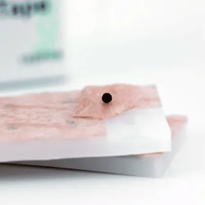 Ωτοβελονισμός  | Σπόροι Dongbang Vaccaria seeds DBA426