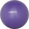 Μπάλα γυμναστικής 55cm -1000gr - Μωβ σε κουτι