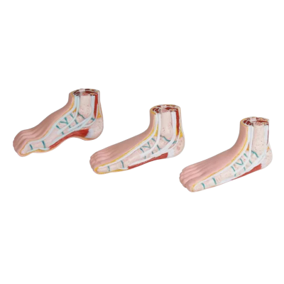 Erler Zimmer Πρόπλασμα άκρου ποδός | Μινιατούρες | Set 3pcs