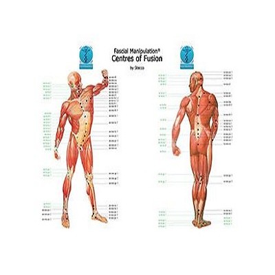 Fascial manipulation - Centers of fusion - Poster